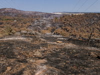 The aftermath from the Thompson Fire is being seen along Oregon Gulch Road, in Oroville, Calif., on July 28, 2024. Burning 3,789 acres in ea...