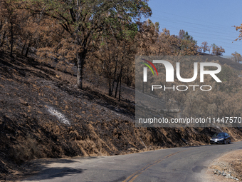 The aftermath from the Thompson Fire is being seen along Oregon Gulch Road, in Oroville, Calif., on July 28, 2024. Burning 3,789 acres in ea...