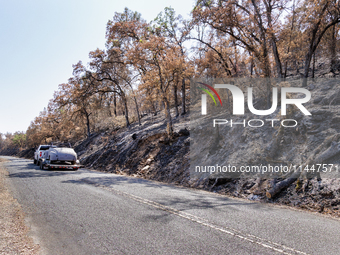 The aftermath from the Thompson Fire is being seen along Oregon Gulch Road, in Oroville, Calif., on July 28, 2024. Burning 3,789 acres in ea...