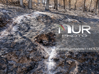 The aftermath from the Thompson Fire is being seen along Oregon Gulch Road, in Oroville, Calif., on July 28, 2024. Burning 3,789 acres in ea...