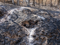 The aftermath from the Thompson Fire is being seen along Oregon Gulch Road, in Oroville, Calif., on July 28, 2024. Burning 3,789 acres in ea...