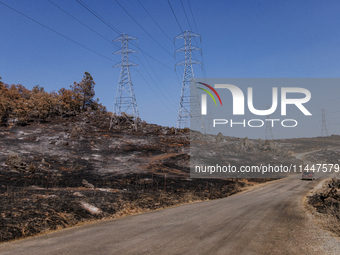 The aftermath from the Thompson Fire is being seen along Oregon Gulch Road, in Oroville, Calif., on July 28, 2024. Burning 3,789 acres in ea...