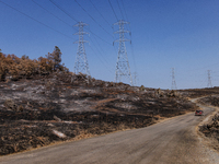 The aftermath from the Thompson Fire is being seen along Oregon Gulch Road, in Oroville, Calif., on July 28, 2024. Burning 3,789 acres in ea...