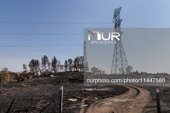 The aftermath from the Thompson Fire is being seen along Oregon Gulch Road, in Oroville, Calif., on July 28, 2024. Burning 3,789 acres in ea...