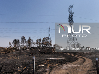 The aftermath from the Thompson Fire is being seen along Oregon Gulch Road, in Oroville, Calif., on July 28, 2024. Burning 3,789 acres in ea...