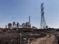 The aftermath from the Thompson Fire is being seen along Oregon Gulch Road, in Oroville, Calif., on July 28, 2024. Burning 3,789 acres in ea...