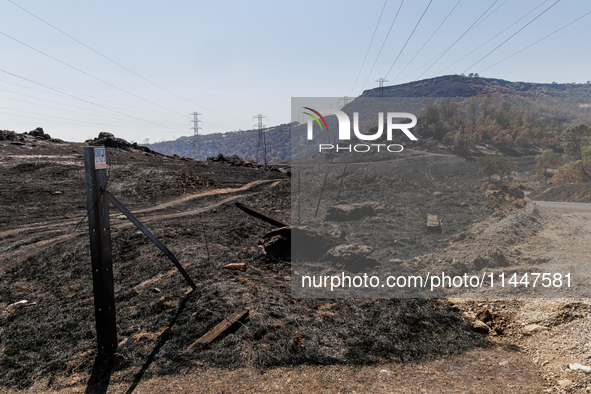 The aftermath from the Thompson Fire is being seen along Oregon Gulch Road, in Oroville, Calif., on July 28, 2024. Burning 3,789 acres in ea...