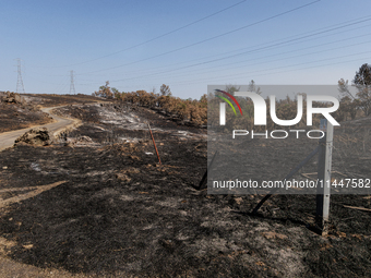 The aftermath from the Thompson Fire is being seen along Oregon Gulch Road, in Oroville, Calif., on July 28, 2024. Burning 3,789 acres in ea...