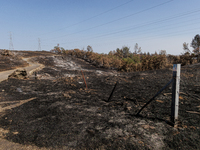 The aftermath from the Thompson Fire is being seen along Oregon Gulch Road, in Oroville, Calif., on July 28, 2024. Burning 3,789 acres in ea...