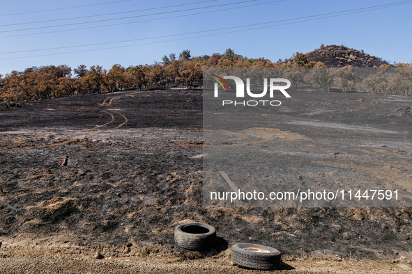 The aftermath from the Thompson Fire is being seen along Oregon Gulch Road, in Oroville, Calif., on July 28, 2024. Burning 3,789 acres in ea...