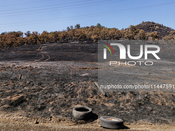 The aftermath from the Thompson Fire is being seen along Oregon Gulch Road, in Oroville, Calif., on July 28, 2024. Burning 3,789 acres in ea...