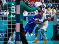 Melvyn Richardson of the France team is shooting at the goal against Ahmed Adel of the Egypt team during the men's Handball Preliminary Roun...