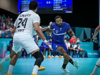 Melvyn Richardson of the France Team is playing during the men's Handball Preliminary Round - Group B match between France and Egypt in Pari...