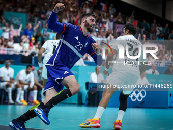 Ludovic FABREGAS of the France Team is celebrating during the men's Handball Preliminary Round - Group B match between France and Egypt on D...