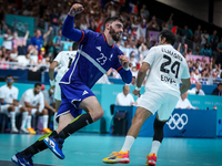 Ludovic FABREGAS of the France Team is celebrating during the men's Handball Preliminary Round - Group B match between France and Egypt on D...