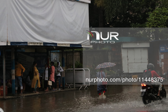 Women are holding umbrellas and crossing a road during monsoon rain in Kolkata, India, on August 1, 2024. 