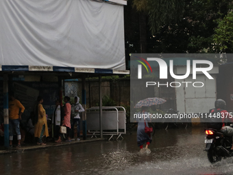 Women are holding umbrellas and crossing a road during monsoon rain in Kolkata, India, on August 1, 2024. (