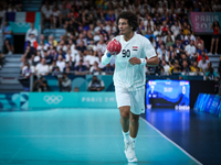 Ali ZEIN of the Egypt Team is playing during the men's Handball Preliminary Round - Group B match between France and Egypt in Paris, France,...