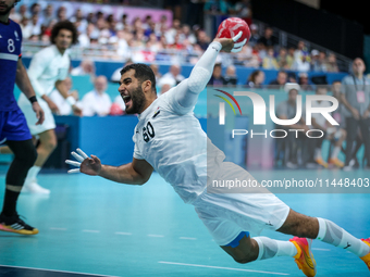 Ahmed ADEL of the Egypt team is shooting the ball during the Men's Preliminary Round Group B match between France and Egypt in Paris, France...