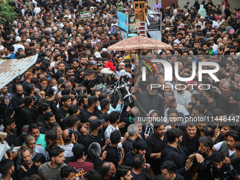 Kashmiri Shiite Muslims are reenacting the scene by touching the horse during a religious procession in Srinagar, Jammu and Kashmir, on Augu...