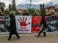 A woman is walking past Kashmiri Shiite Muslims holding banners during a religious procession on the 25th day of the Islamic month of Muharr...