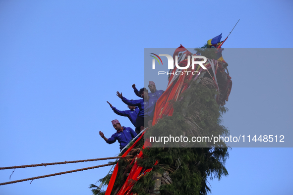 Nepali devotees are climbing up the chariot of the Red God, Rato Macchindranath, as it approaches the final tour of the city, wrapping up th...