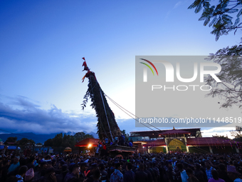 Nepali devotees are performing rituals and making offerings to the Red God, Rato Macchindranath, after it is installed at the resting point,...