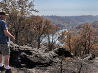 Ken Elmore is standing on his property following the aftermath of the Thompson Fire, in Oroville, Calif., on July 31, 2024. Along with his w...