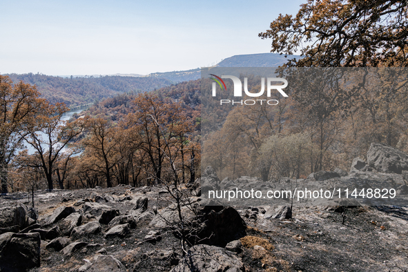 The aftermath of the Thompson Fire is being seen on View Lane in Oroville, Calif., on Sunday, July 31, 2024. Ken and Vivian Elmore of Orovil...