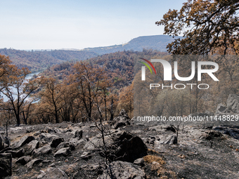 The aftermath of the Thompson Fire is being seen on View Lane in Oroville, Calif., on Sunday, July 31, 2024. Ken and Vivian Elmore of Orovil...