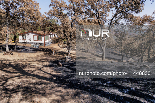 The aftermath of the Thompson Fire is being seen on View Lane in Oroville, Calif., on Sunday, July 31, 2024. Ken and Vivian Elmore of Orovil...