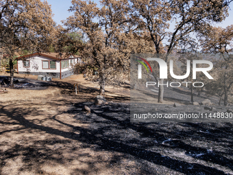 The aftermath of the Thompson Fire is being seen on View Lane in Oroville, Calif., on Sunday, July 31, 2024. Ken and Vivian Elmore of Orovil...