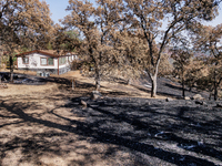 The aftermath of the Thompson Fire is being seen on View Lane in Oroville, Calif., on Sunday, July 31, 2024. Ken and Vivian Elmore of Orovil...