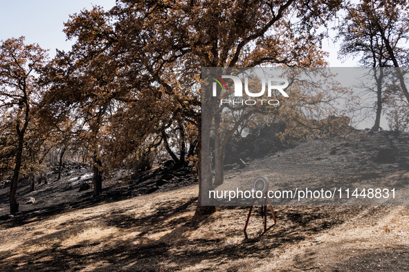 The aftermath from the Thompson Fire is being seen on View Lane in Oroville, Calif., on Sunday, July 31, 2024. Ken and Vivian Elmore of Orov...