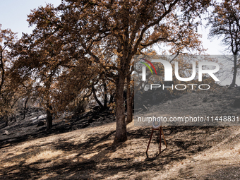 The aftermath from the Thompson Fire is being seen on View Lane in Oroville, Calif., on Sunday, July 31, 2024. Ken and Vivian Elmore of Orov...