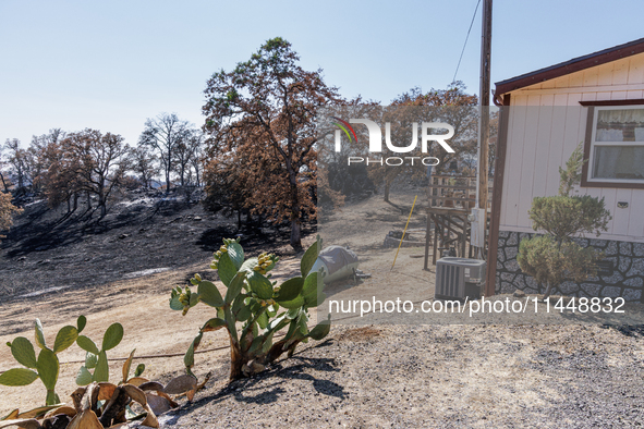 The aftermath of the Thompson Fire is being seen on View Lane in Oroville, Calif., on Sunday, July 31, 2024. Ken and Vivian Elmore of Orovil...