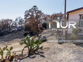 The aftermath of the Thompson Fire is being seen on View Lane in Oroville, Calif., on Sunday, July 31, 2024. Ken and Vivian Elmore of Orovil...