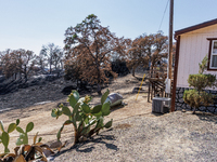 The aftermath of the Thompson Fire is being seen on View Lane in Oroville, Calif., on Sunday, July 31, 2024. Ken and Vivian Elmore of Orovil...