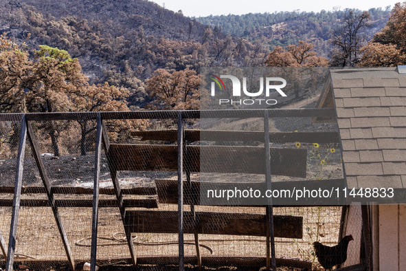 The aftermath of the Thompson Fire is being seen on View Lane in Oroville, Calif., on Sunday, July 31, 2024. Ken and Vivian Elmore of Orovil...