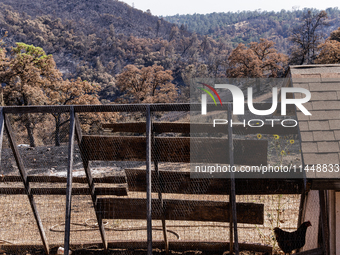 The aftermath of the Thompson Fire is being seen on View Lane in Oroville, Calif., on Sunday, July 31, 2024. Ken and Vivian Elmore of Orovil...