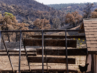 The aftermath of the Thompson Fire is being seen on View Lane in Oroville, Calif., on Sunday, July 31, 2024. Ken and Vivian Elmore of Orovil...