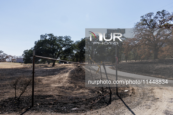 The aftermath of the Thompson Fire is being seen on View Lane in Oroville, Calif., on Sunday, July 31, 2024. Ken and Vivian Elmore of Orovil...