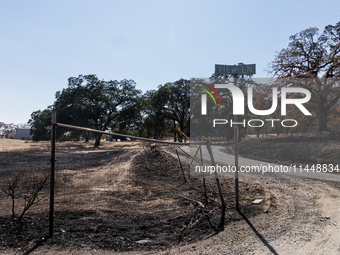 The aftermath of the Thompson Fire is being seen on View Lane in Oroville, Calif., on Sunday, July 31, 2024. Ken and Vivian Elmore of Orovil...