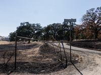 The aftermath of the Thompson Fire is being seen on View Lane in Oroville, Calif., on Sunday, July 31, 2024. Ken and Vivian Elmore of Orovil...