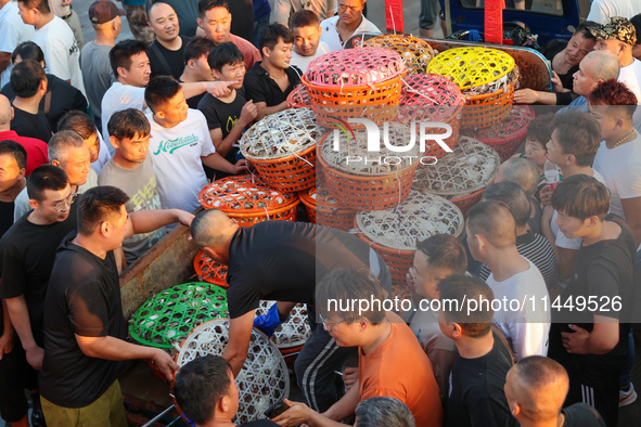 Workers are loading and unloading swimming crabs at the dock of Zhoushan International Aquatic City in Zhoushan, China, on August 2, 2024. 