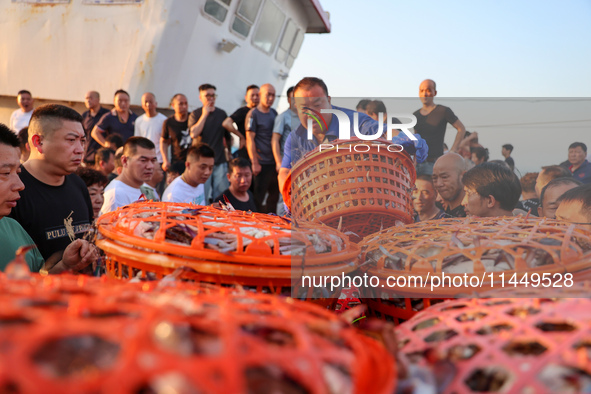 Workers are loading and unloading swimming crabs at the dock of Zhoushan International Aquatic City in Zhoushan, China, on August 2, 2024. 