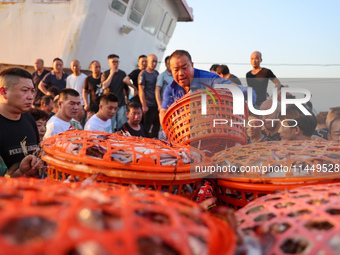 Workers are loading and unloading swimming crabs at the dock of Zhoushan International Aquatic City in Zhoushan, China, on August 2, 2024. (