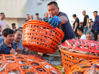 Workers are loading and unloading swimming crabs at the dock of Zhoushan International Aquatic City in Zhoushan, China, on August 2, 2024. (