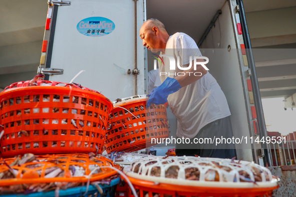 Workers are loading and unloading swimming crabs at the dock of Zhoushan International Aquatic City in Zhoushan, China, on August 2, 2024. 