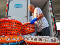 Workers are loading and unloading swimming crabs at the dock of Zhoushan International Aquatic City in Zhoushan, China, on August 2, 2024. (